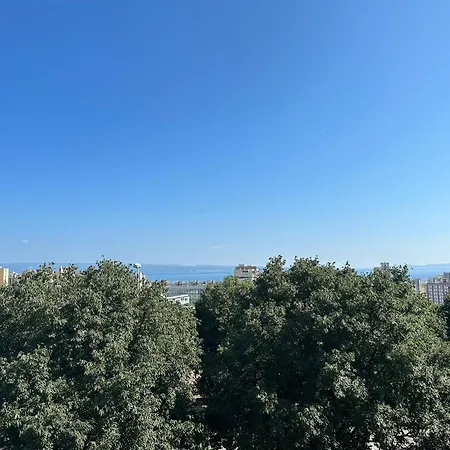 Cloud9 Lejlighed Split